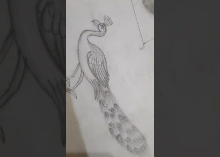 mor sketch #drawing #artist #art #youtubeshorts