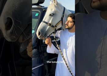Fazza and his white horse—royalty meets loyalty. #youtube #dubai #viral #trending