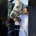 Fazza and his white horse—royalty meets loyalty. #youtube #dubai #viral #trending