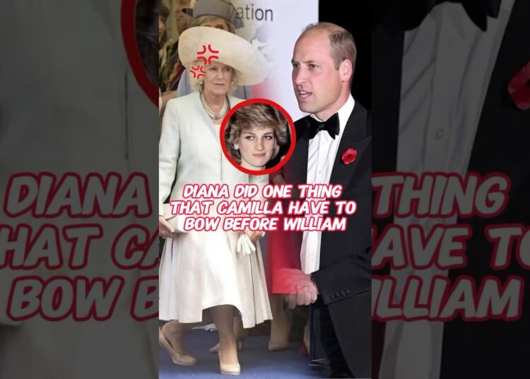 Diana did one thing Camilla have to always bow before William #royal #william #camilla #diana #fyp