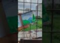 Mini Painting idea 🪄🌧️ #shorts #art #creativety