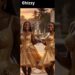 Elegance + Drama  | Fashion Royalty in Full Glow”