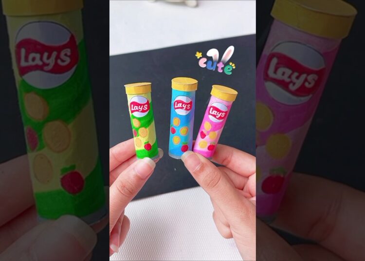 DIY cute lays chips #shorts #tonniartandcraft #art #diy #craft  #handmade