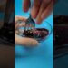 How to make fake blood  #artist #makeuptutorial #sfxdiy #sfxtutorial #halloween