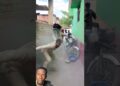 The result of a gossiping Security Man wait till the End 🤣😂🫠