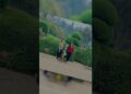 Ooty gossips