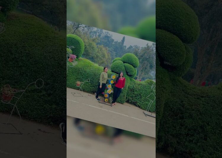 Ooty gossips
