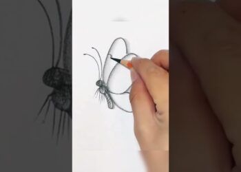 Easy Beautiful Butterfly Drawing #shorts #art #reels #howtodraw #drawing #ytshort #viral #draw