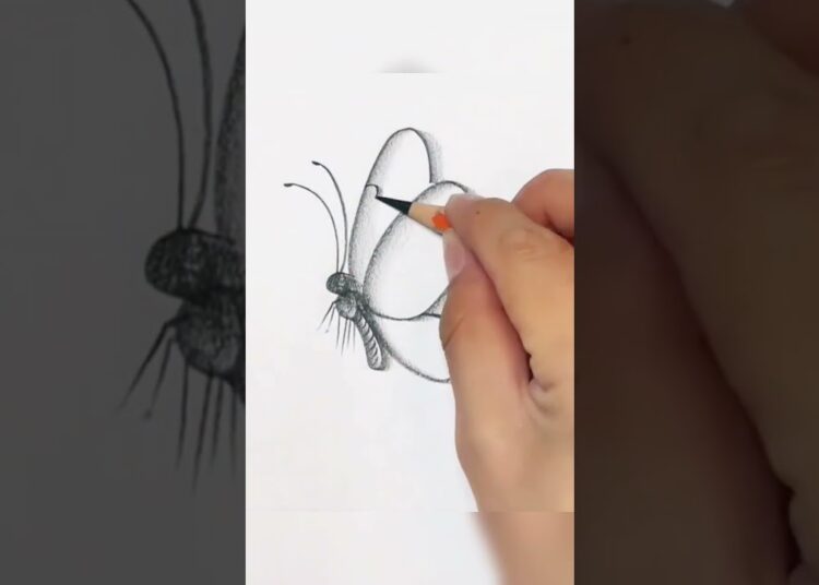 Easy Beautiful Butterfly Drawing #shorts #art #reels #howtodraw #drawing #ytshort #viral #draw