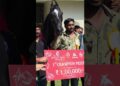 fist position morni royalty horse show Bengaluru #rajasthandiscovery