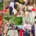 KUBALA KINGDOM COLLAPSE! How Kofi Offeh, Jean & Servant Got Arrested In Scotland – FULL STORY