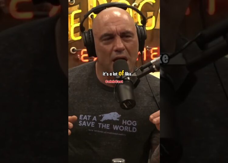 ❤Joe Rogan❤ Exposes American Italian Food #celebrity  #podcast #joerogan #shorts