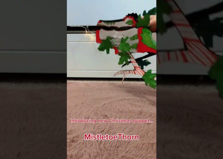 1ST DECEMBER SPECIAL🎄✨[#dragonpuppets#artist#christmas#fyp]