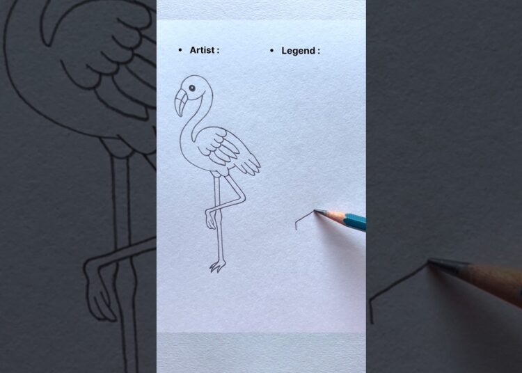 Artist Vs Legend Drawing #shorts #shortsfeed #youtubeshorts #art