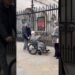 Where Royalty Meets Resilience: A Journey of Courage at Horse Guard, London!” #Shorts
