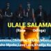 Diamond platnums-ULALE SALAMA(RAILA ODINGA) OFFICIAL MUSIC VIDEO FT Mbosso,Rayvanny,Zuchu,
