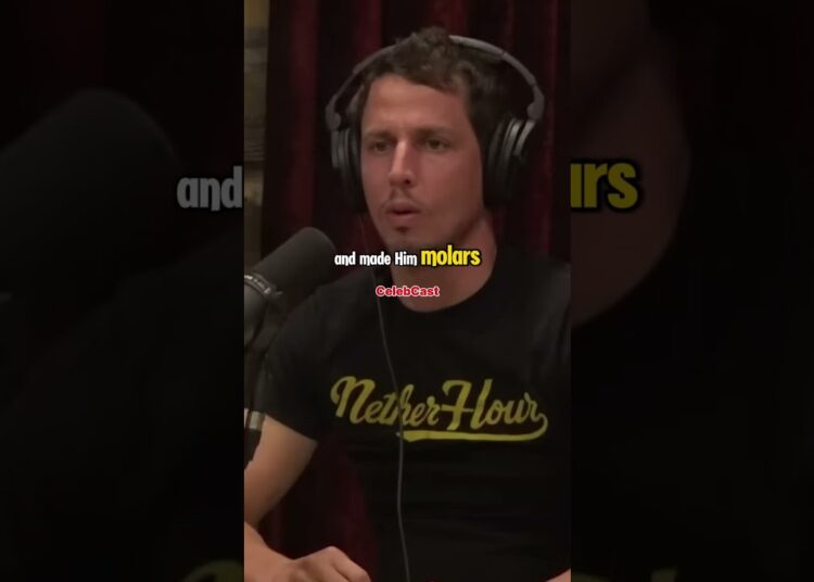 ❤Joe Rogan❤ Exposes George Washington #celebrity #podcast #joerogan #shorts