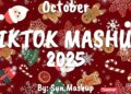 Tiktok Mashup October 💗2025💗 (Not Clean)