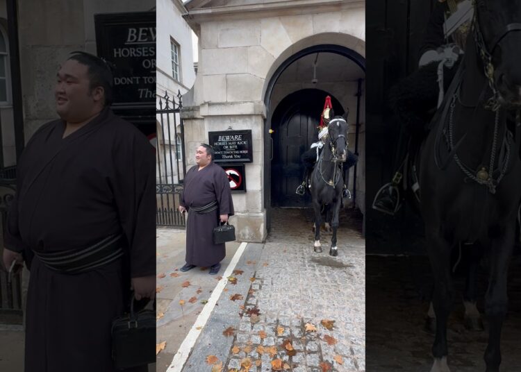 “Japan’s Sumo Spirit: A Humble Encounter with Royalty at London’s Horse Guards! 🇯🇵 #Shorts