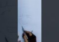 #artistdrawing #art #viralvideo #lee#manish#artist