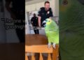 This Parrot’s Gossip Game Is Federal