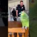 This Parrot’s Gossip Game Is Federal