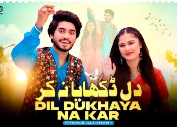 Dil Dukhaya Na Kar | Prince Ali Khan | Official Music Video | Saraiki | 2025