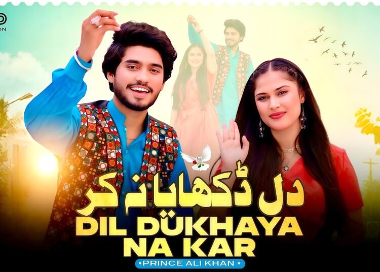 Dil Dukhaya Na Kar | Prince Ali Khan | Official Music Video | Saraiki | 2025