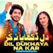 Dil Dukhaya Na Kar | Prince Ali Khan | Official Music Video | Saraiki | 2025