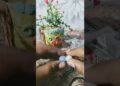Flowers🌺 #art #artwork
