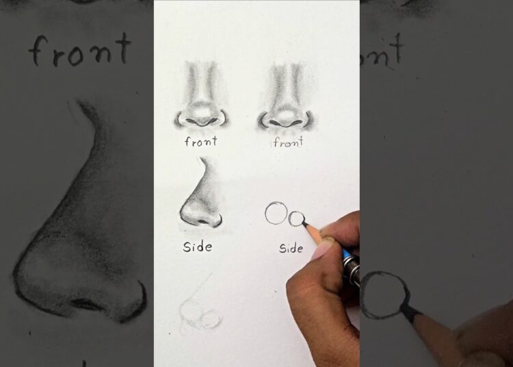 How to Draw Nose ✨️ (front and side view) #shorts #drawing