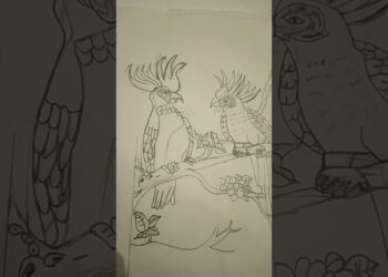parrot drawing outline Armaan Artist studio