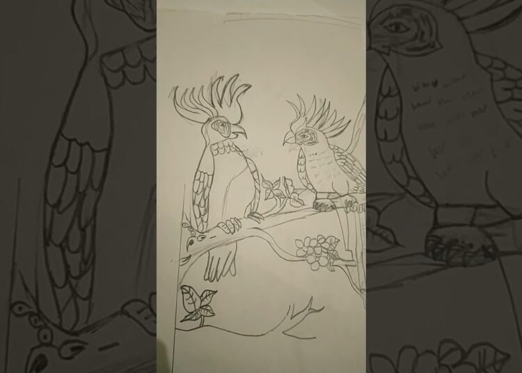 parrot drawing outline Armaan Artist studio