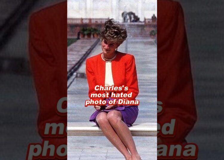 Charles’s most hated photo of Diana #kingcharles #royal #foryou #fyp #princessdiana #princewilliam