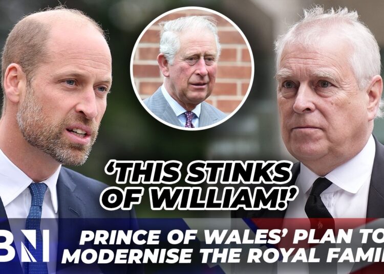 Prince William ‘PUSHED’ Prince Andrew into dropping royal titles over Epstein links – Reports