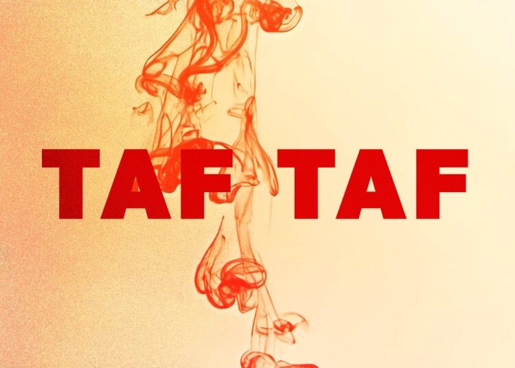 OldyGotTheSound, Anys & Shaw – TAF TAF (Visualizer)