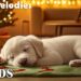 Dog Calming Music for Peaceful Dreams 🐾💕 Healing Sleep Sounds ✨ Separation Anxiety Relief