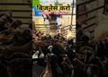 Royal Goat Farm 90010-65527 #goatfarm #sirohigoats #bakramandi #sheepfarm #goatfarming #ytshorts