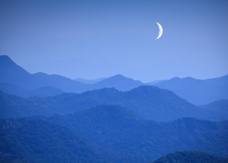 2025 Libra New Moon Horoscope: What to Know Based on Your Sign