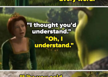 Images of Shrek and Fiona discussing Fiona having said "who could love a hideous, ugly beast" with shrek not realizing she was talking about herself