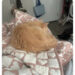 A cat sleeps on a patterned blanket, with a humorous tweet about the cat hiding in a mattress and snoring loudly
