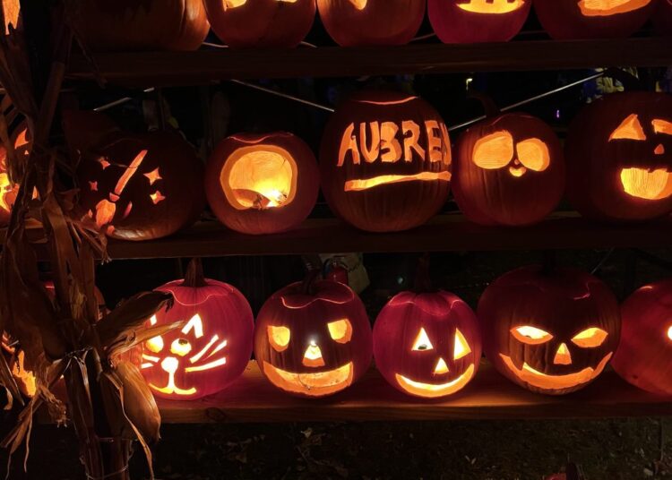 Humboldt Park pumpkin pavilion. Photo by Jeramey Jannene.