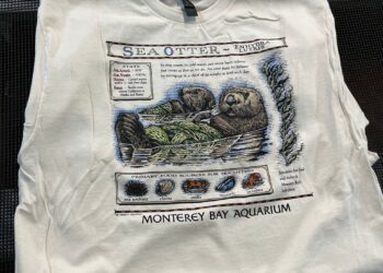 A T-shirt worn by Taylor Swift sparks a $2M windfall for sea otters