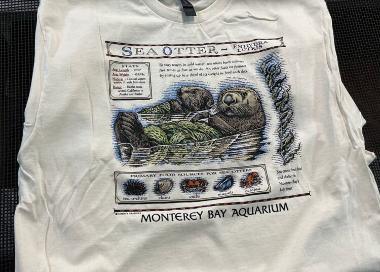 A T-shirt worn by Taylor Swift sparks a $2M windfall for sea otters