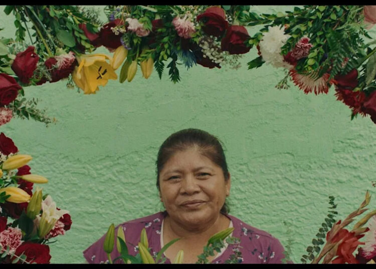 'Petalos'Courtesy of MSP Film Society