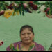 'Petalos'Courtesy of MSP Film Society