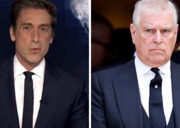 ABC's David Muir breaks in with bad news for Prince Andrew - TV - Entertainment