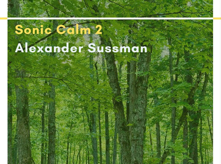 Alexander Sussman Releases New Album: ”Sonic Calm 2”