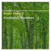 Alexander Sussman Releases New Album: ”Sonic Calm 2”