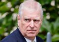 Prince Andrew head shot